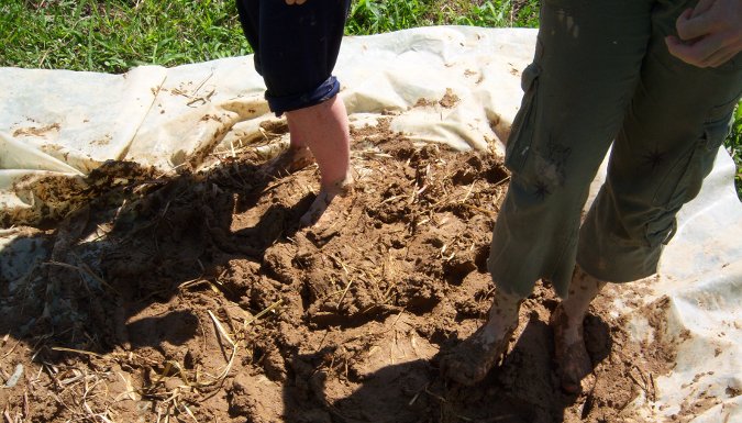 A person with dirt and compost on a farm