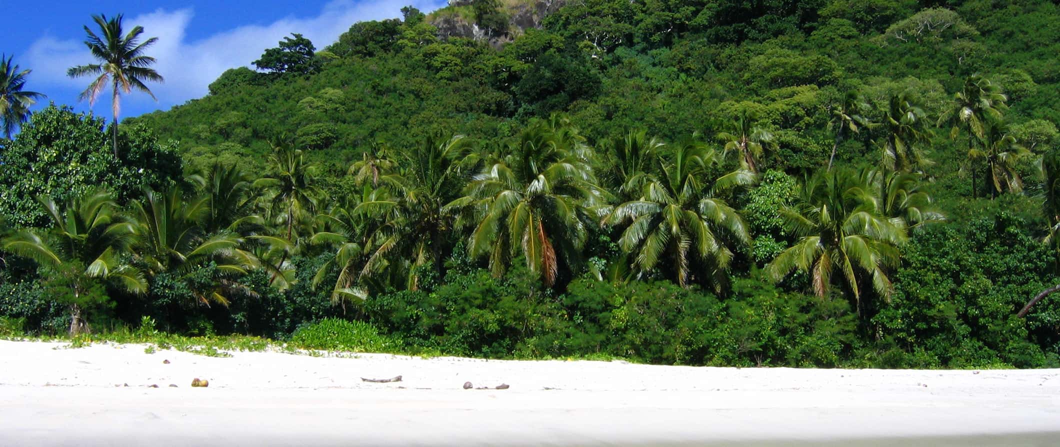 A view of the lush green jungles along the sunny coast of the Yasawa Islands in Fiji